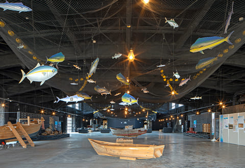氷見市漁業文化交流センター